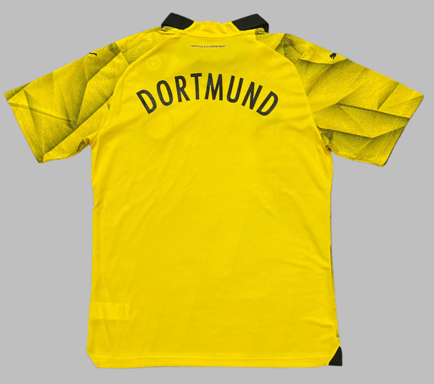 Dortmund 2023-24 Away Kit