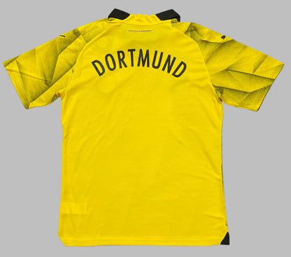 Dortmund 2023-24 Away Kit