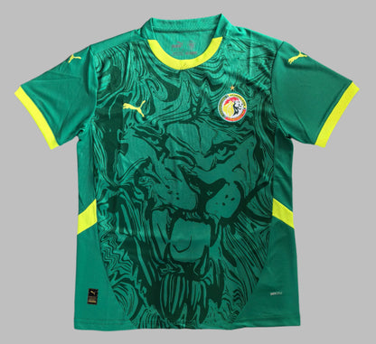 Senegal 2024-25 Away Kit